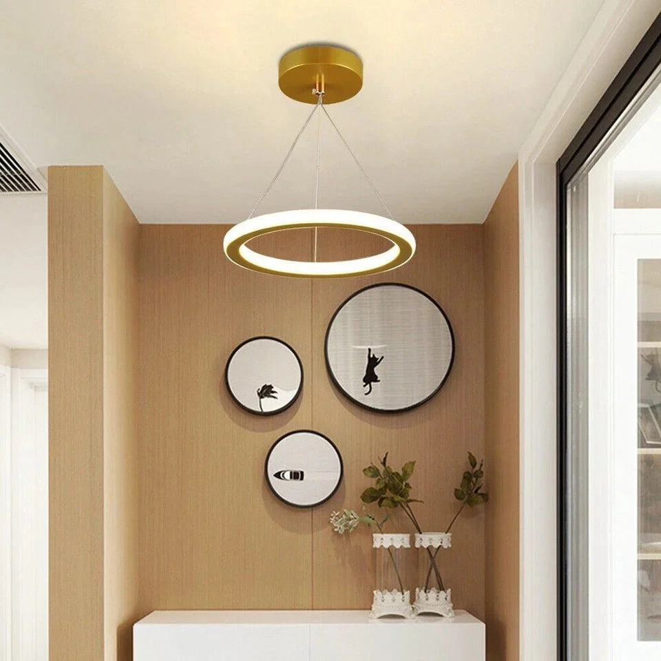 Modern-pendant-light-fixture-in-a-room-with-decorative-mirrors-and-plants